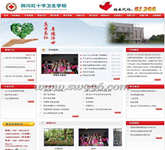 成都網(wǎng)頁設(shè)計案例欣賞